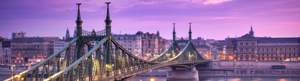 Budapest Semesters in Mathematics Education (BSME)