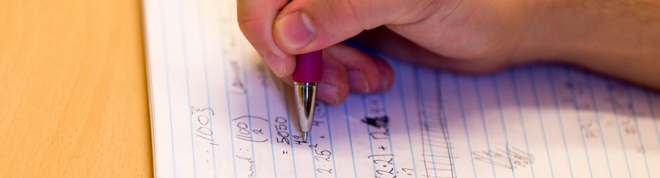 Budapest Semesters in Mathematics Education (BSME)