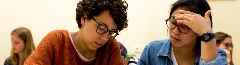 Budapest Semesters in Mathematics Education (BSME)