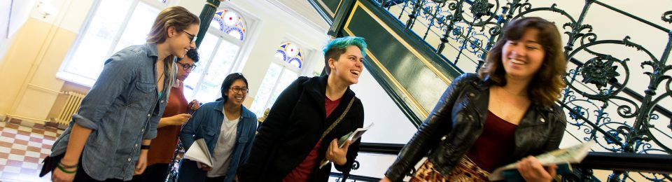 Budapest Semesters in Mathematics Education (BSME)