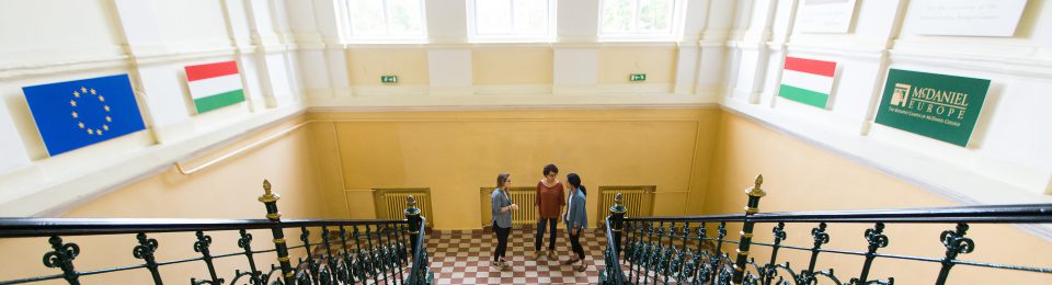 Budapest Semesters in Mathematics Education (BSME)