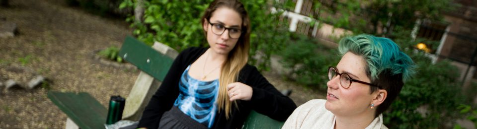 Budapest Semesters in Mathematics Education (BSME)