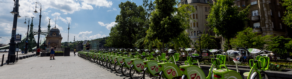 Budapest Semesters in Mathematics Education (BSME)