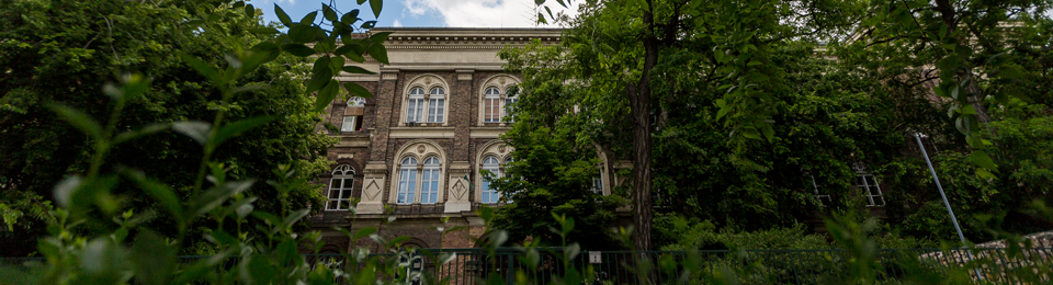 Budapest Semesters in Mathematics Education (BSME)