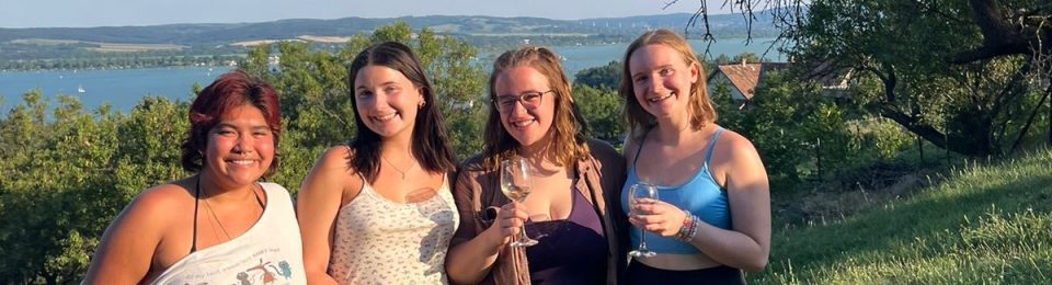 Budapest Semesters in Mathematics Education (BSME)